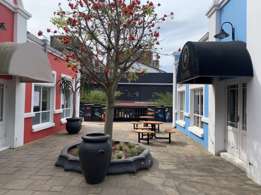 To Let commercial Property for Rent in Woodstock Western Cape